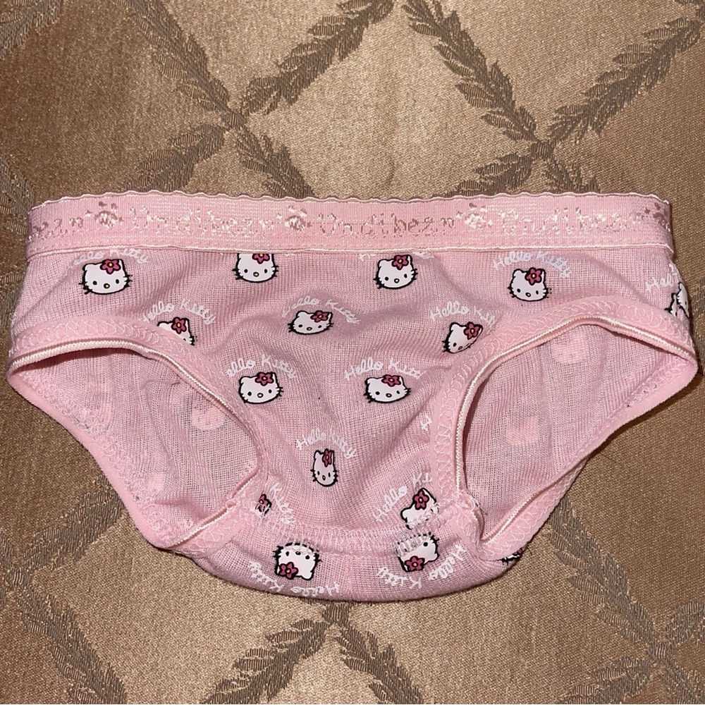 Rare Hello Kitty Sanrio build a bear doll underwear panty pink kawaii clothes